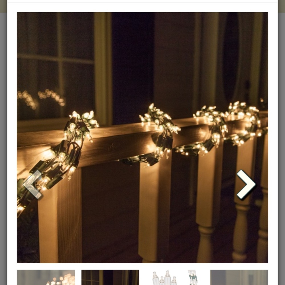 NIB-Wintergreen Lighting- 9’ Garland Lights, 300 Clear Lamps, Green Wire